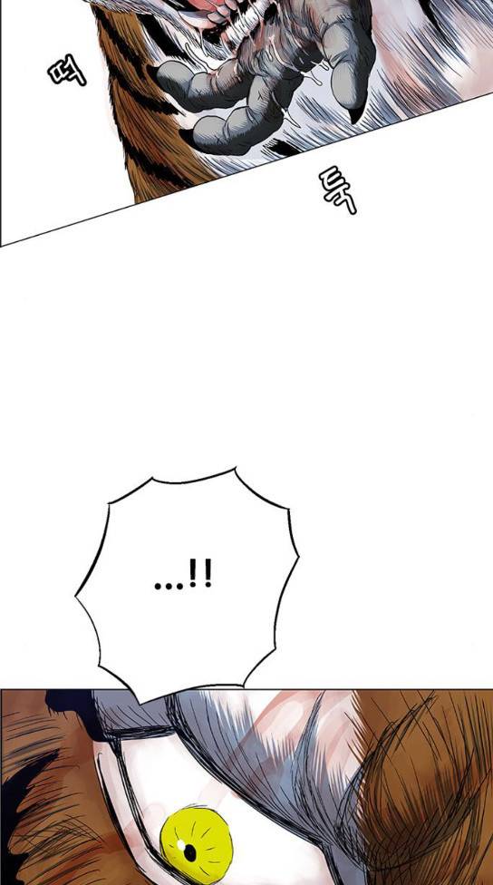 호랑이 형님 호랑이형님 2부 163화 43