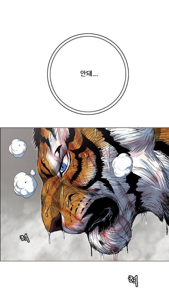 호랑이 형님 호랑이형님 2부 163화 66