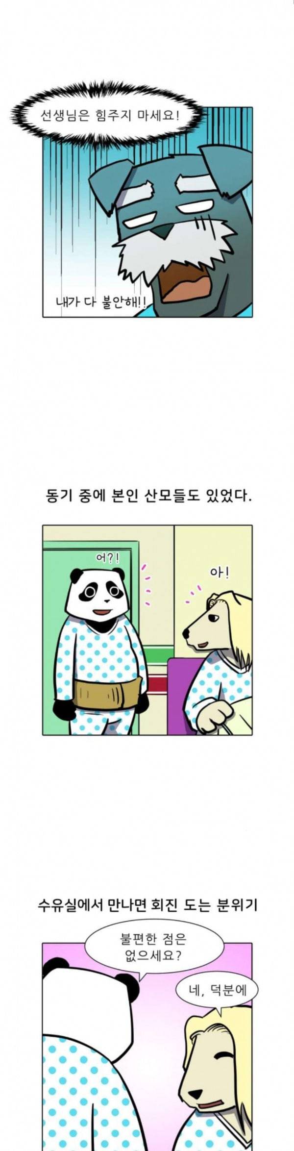 닥터앤닥터 육아일기 44 조리원 3 2
