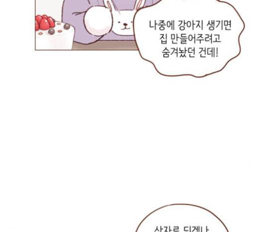 홍시는 날 좋아해 110화 치 부끄러워 하기는 58