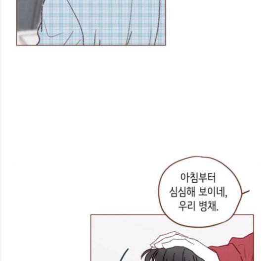 홍시는 날 좋아해 117화 3