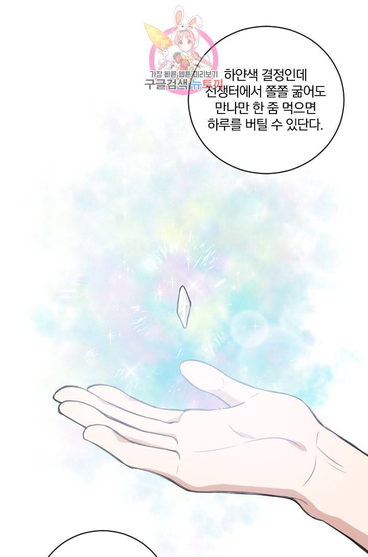 TL 소설 속 시녀가 되었습니다 2화 44
