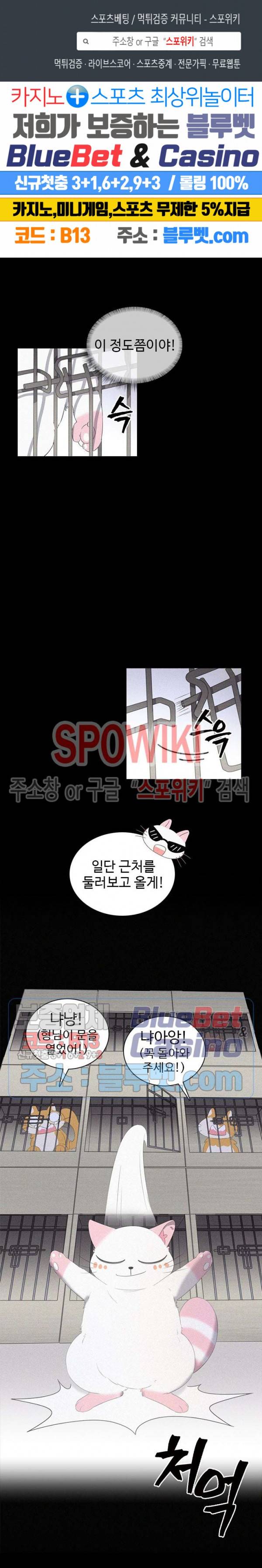 묘한 그녀석 48화 1