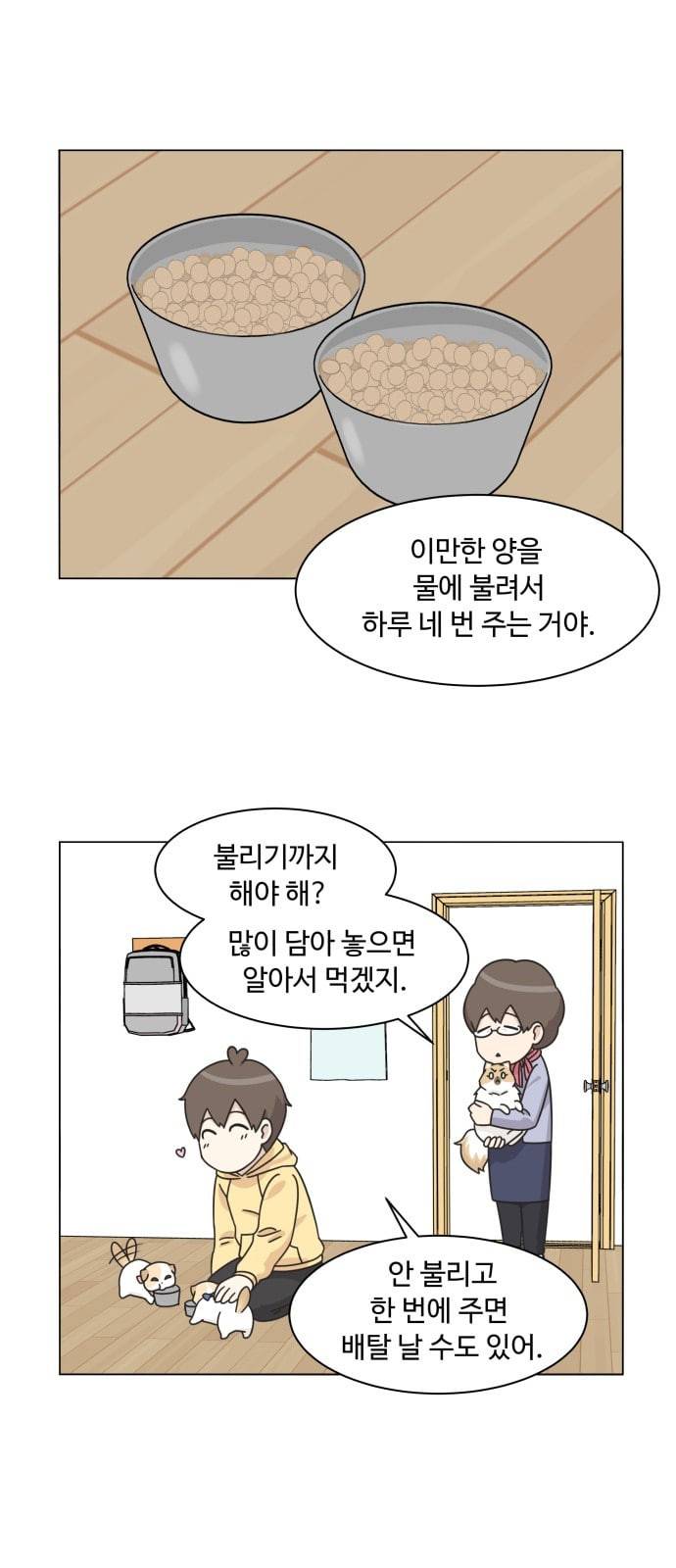 개를 낳았다 시즌2 5화 1