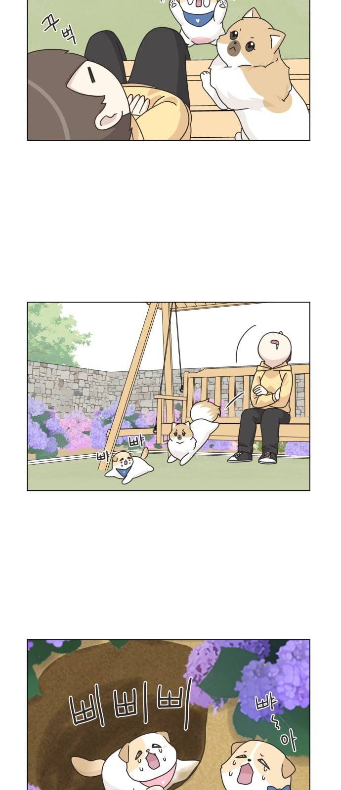 개를 낳았다 시즌2 5화 8