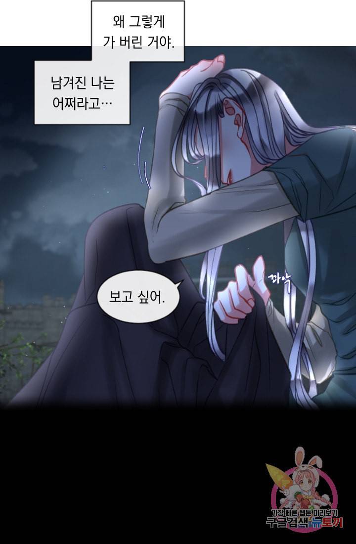 은의 공녀 까마귀 공녀 26화 축제 4 17