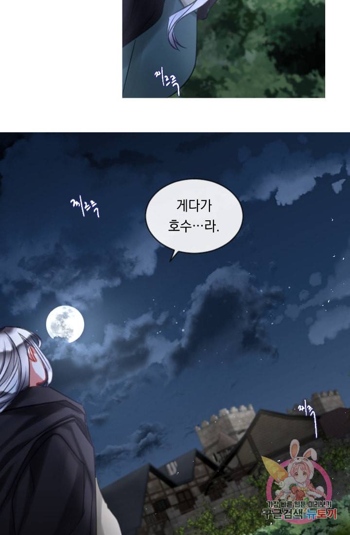은의 공녀 까마귀 공녀 26화 축제 4 29