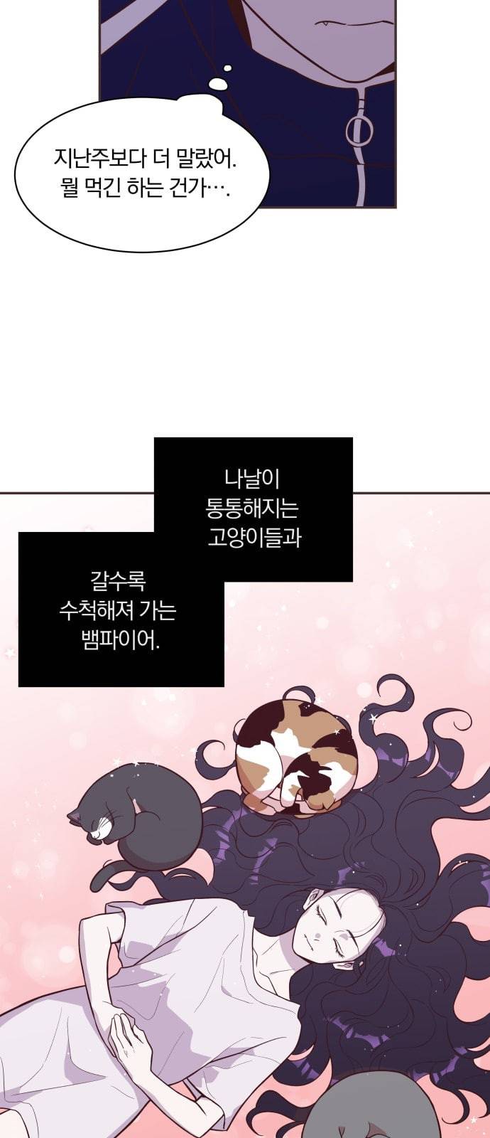 와이키키 뱀파이어 10화 6