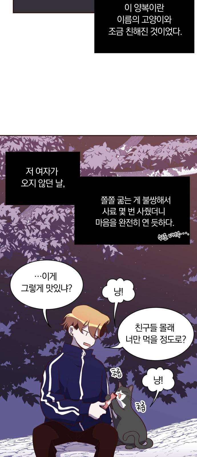 와이키키 뱀파이어 10화 12
