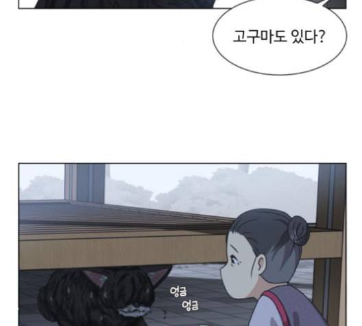 개를 낳았다 시즌2 21화 11