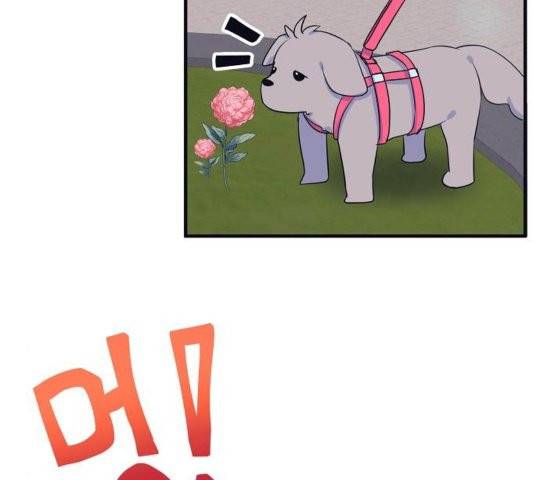 삶이 우리를 속일지라도 85화 2