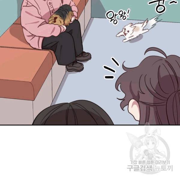 접경지역의 동물병원 17화 18