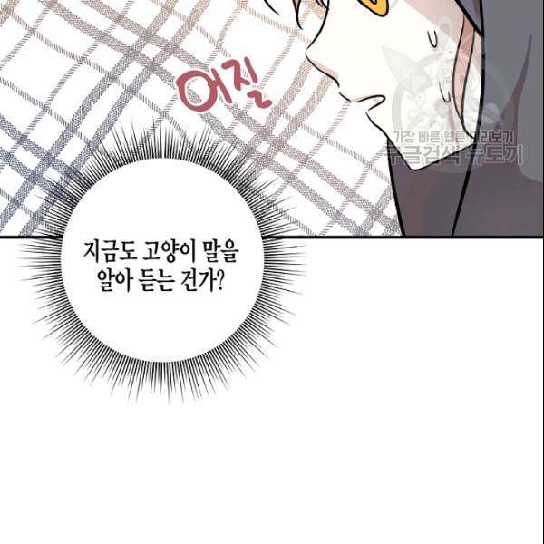 묘한 인생 52화 43
