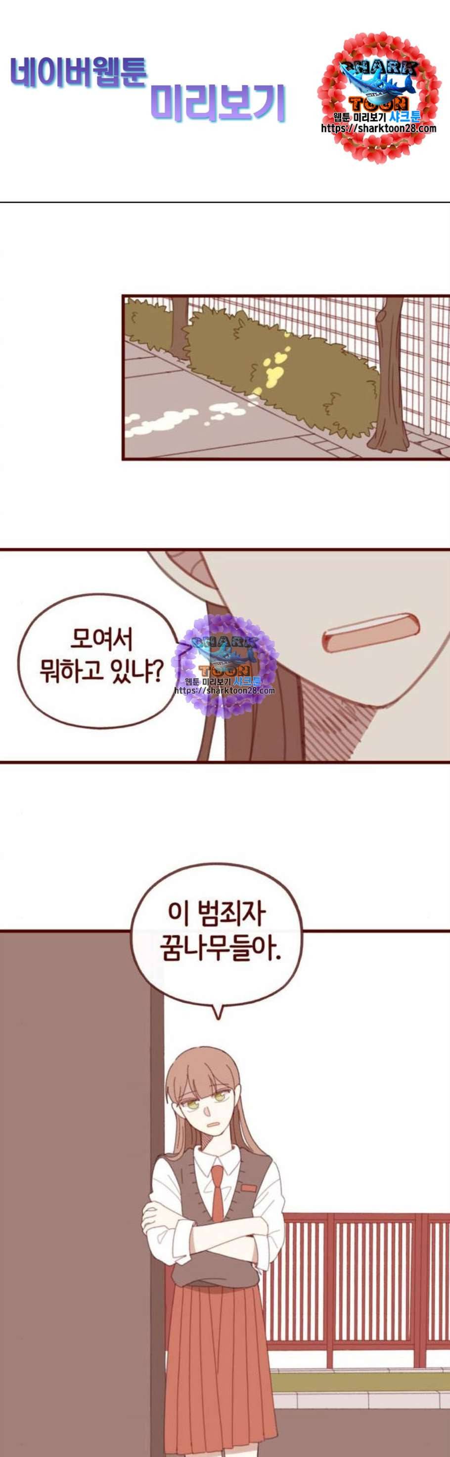스윗솔티 45화 1