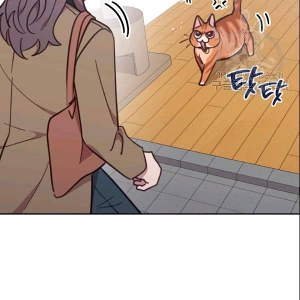 접경지역의 동물병원 28화 5