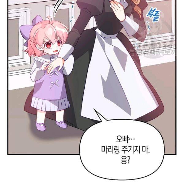 악당 대공님의 귀하디귀한 여동생 17화 13