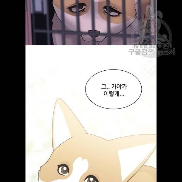 개를 낳았다 시즌2 42화 10