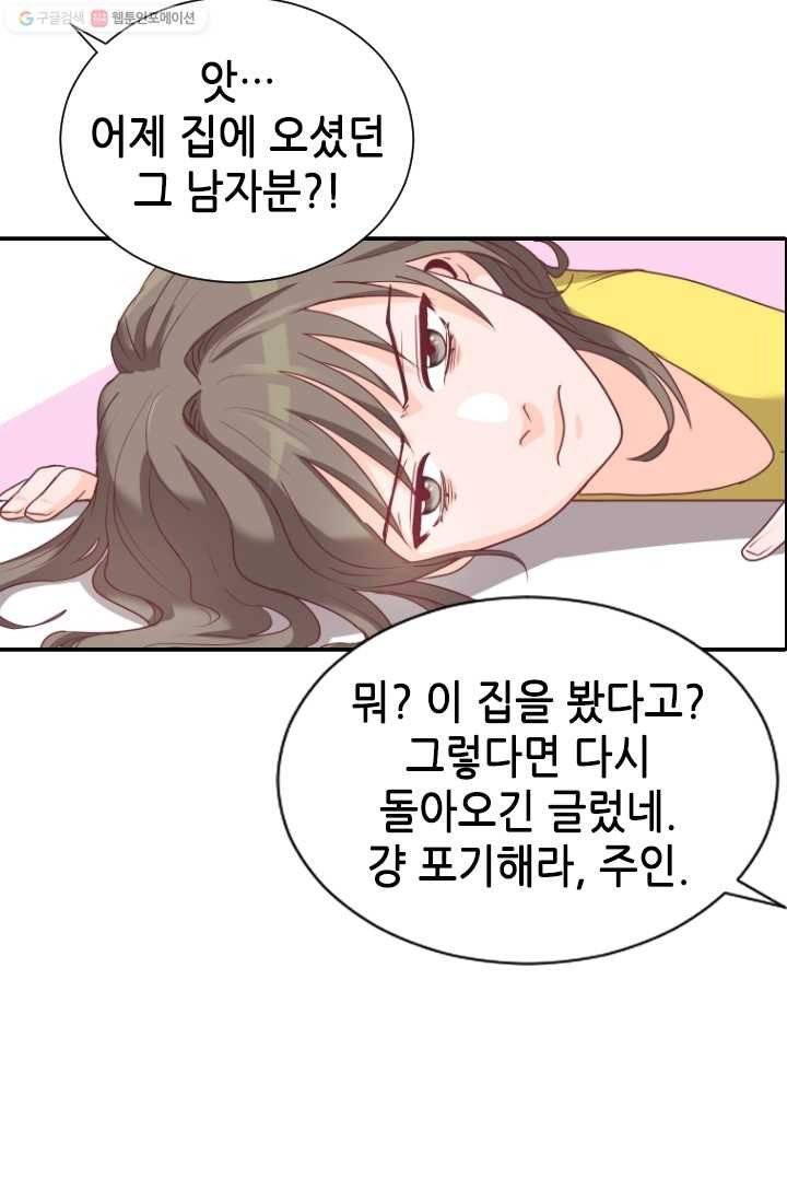박씨가 없어서요 9화 9