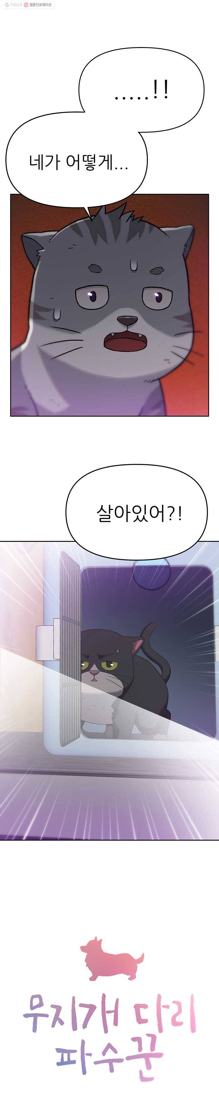 무지개다리 파수꾼 15화 1