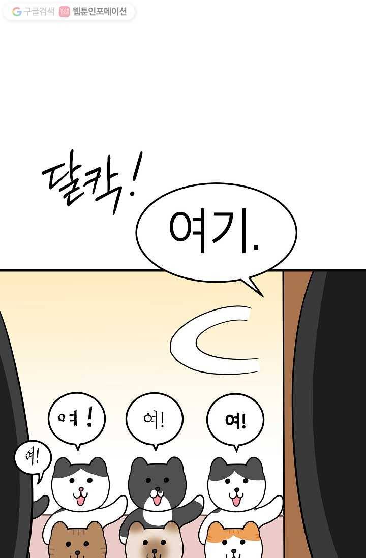 넘 많은 고양! 001화 4