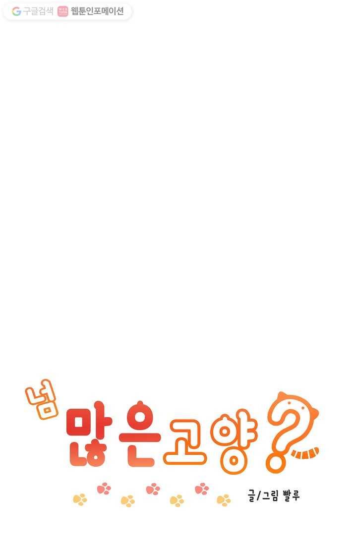 넘 많은 고양! 006화 1