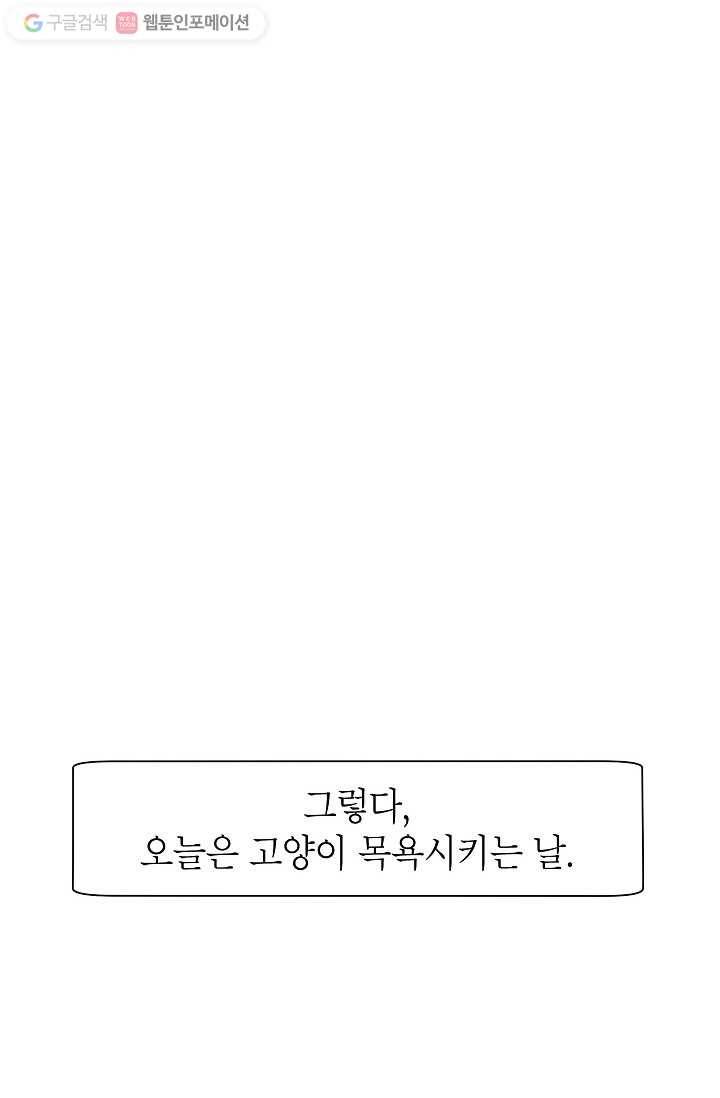 넘 많은 고양! 006화 8