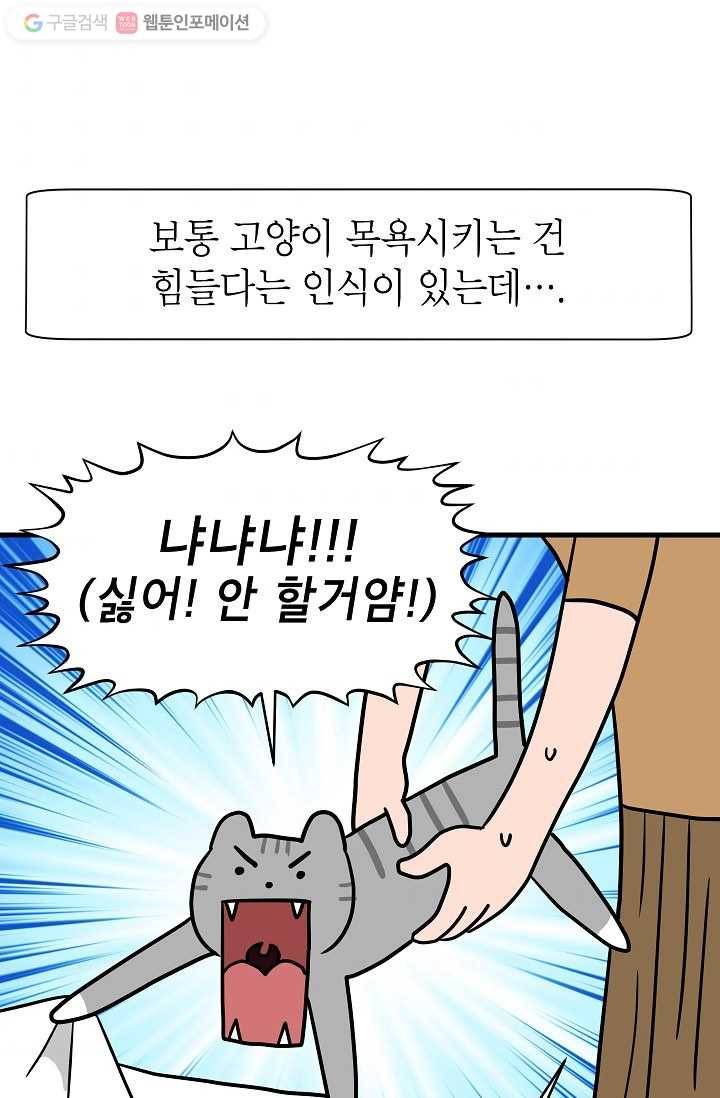 넘 많은 고양! 006화 9