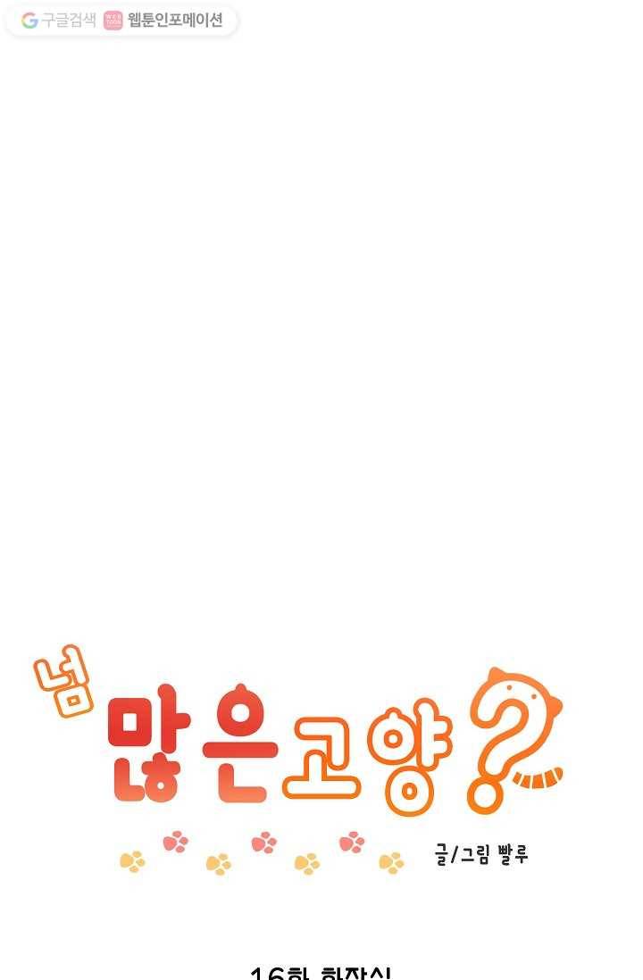 넘 많은 고양! 017화 1