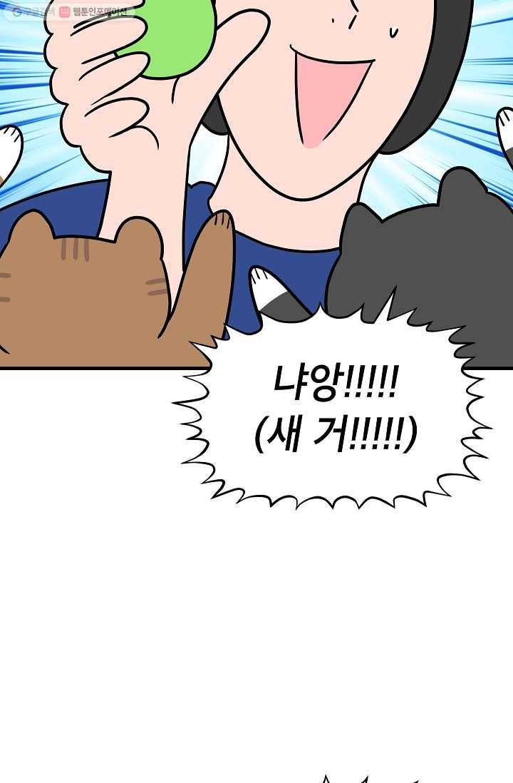 넘 많은 고양! 035화 3