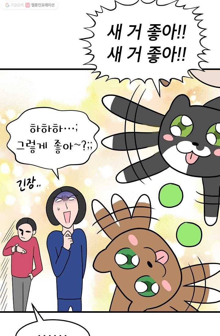 넘 많은 고양! 035화 4