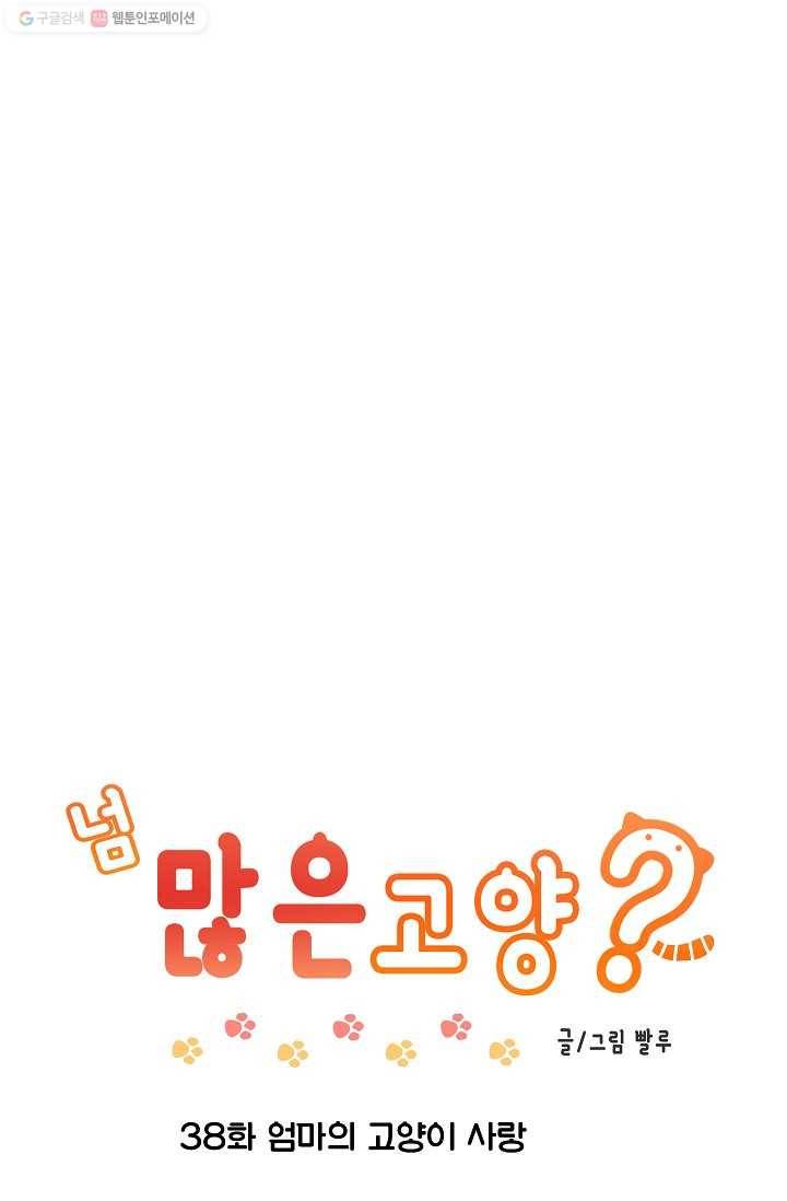 넘 많은 고양! 039화 1