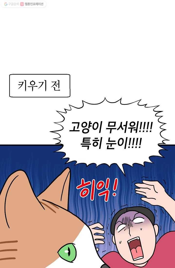 넘 많은 고양! 039화 5