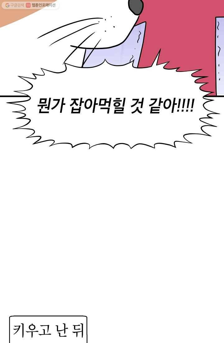 넘 많은 고양! 039화 6