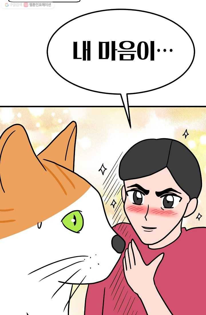 넘 많은 고양! 039화 7