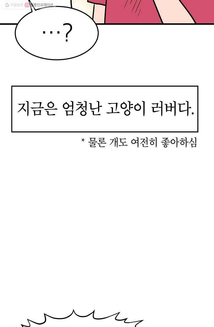 넘 많은 고양! 039화 8