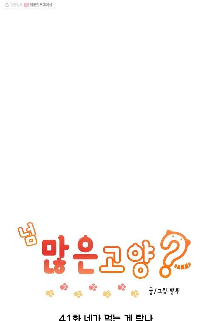 넘 많은 고양! 042화 1