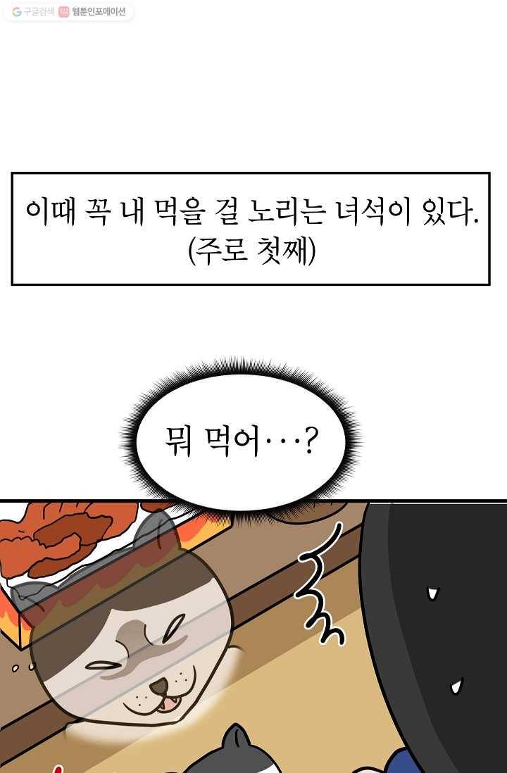넘 많은 고양! 042화 5