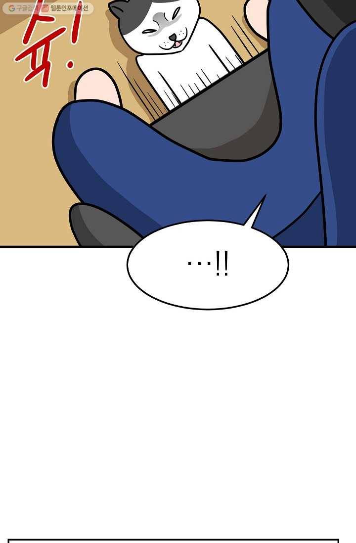 넘 많은 고양! 042화 6