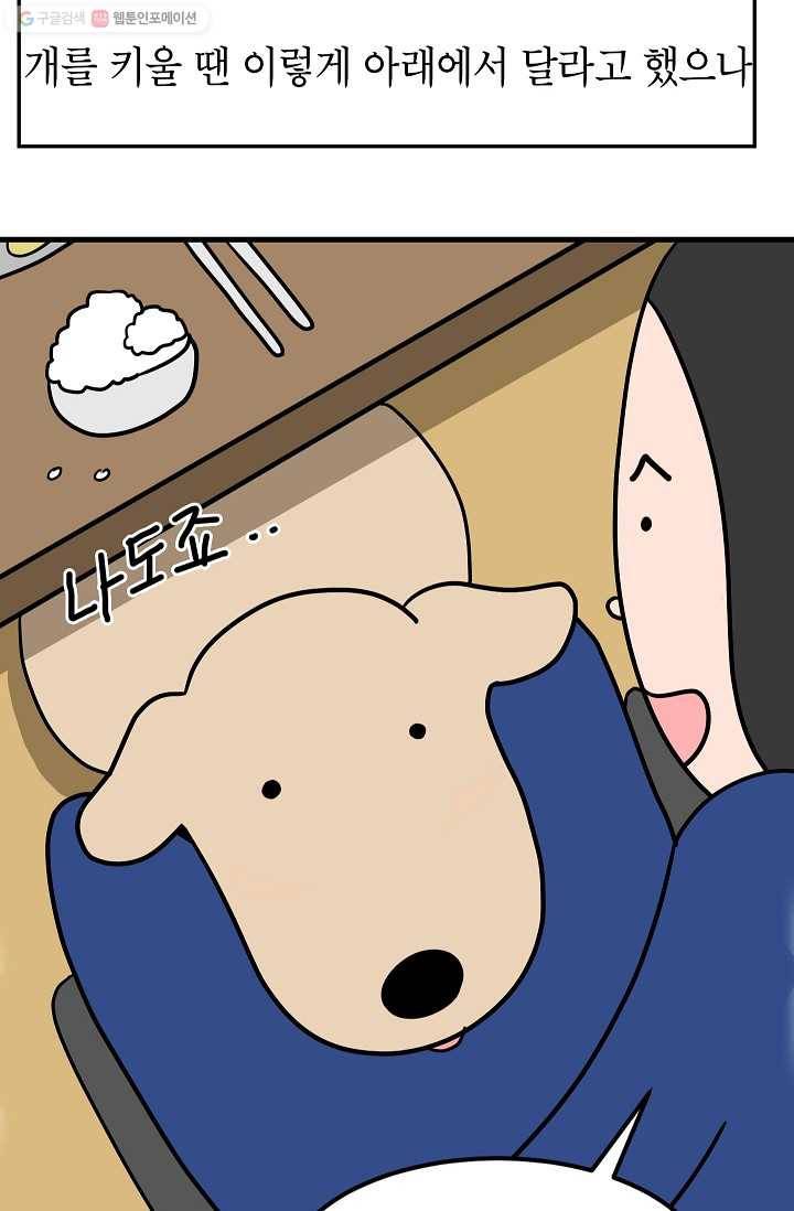넘 많은 고양! 042화 7