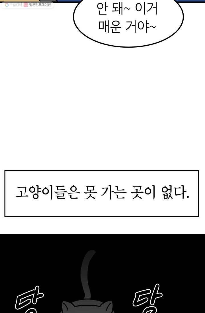 넘 많은 고양! 042화 8