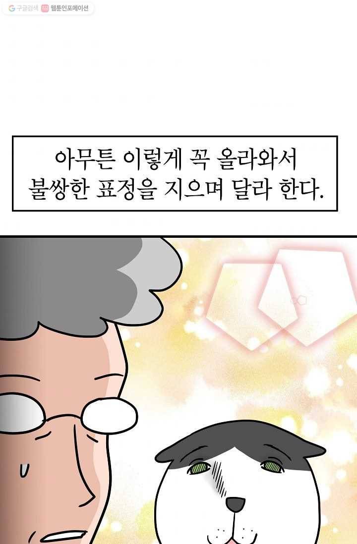 넘 많은 고양! 042화 10