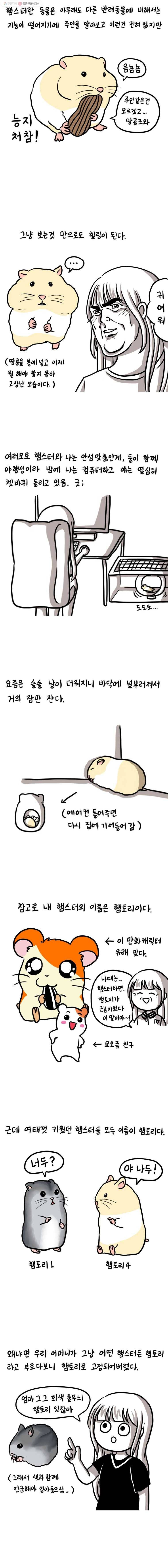 쓰레기 머학생 27화 우리집 햄토리 2