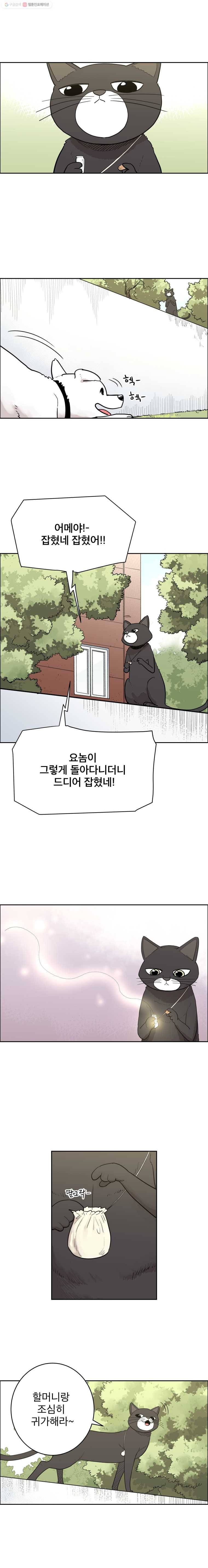 닥터 파인의 하루 56화 갈증 3