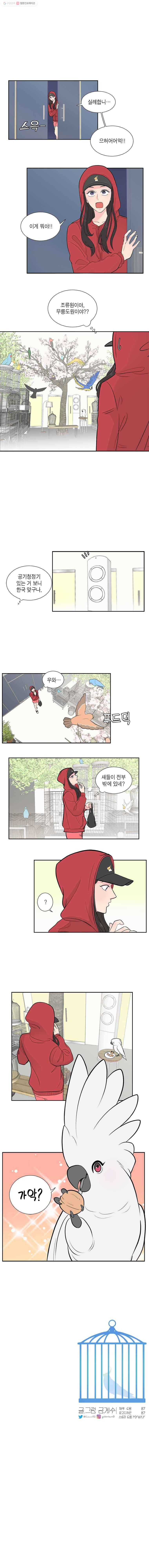 그녀의 앵무새 1화 잘못된 만남(1) 17