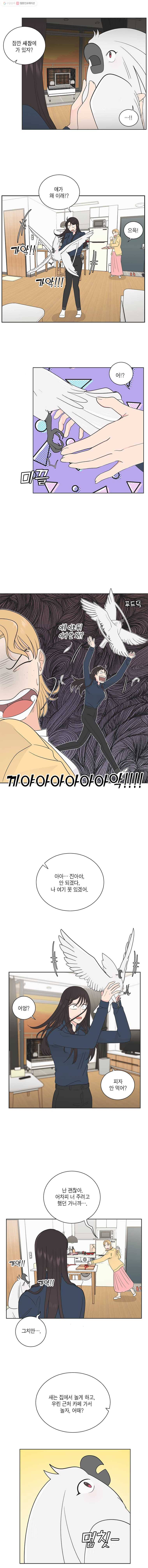 그녀의 앵무새 22화 누구냐 넌 4