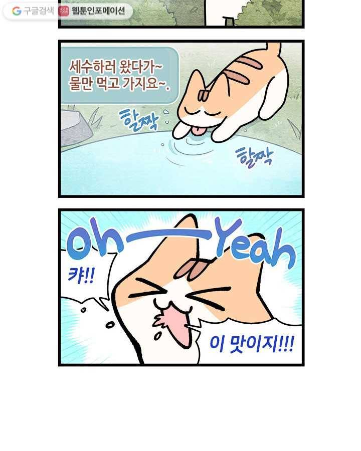 지구의 주인은 고양이다 124화 2
