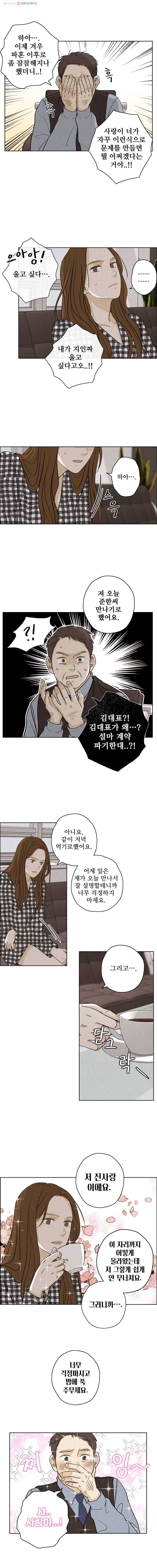 신랑이 사라졌다 27화 폭풍전야 7