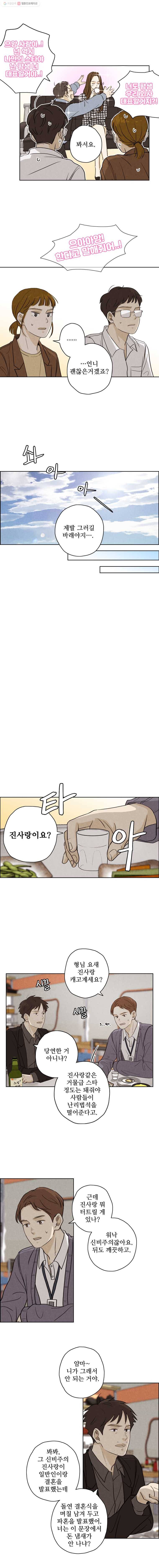 신랑이 사라졌다 27화 폭풍전야 8