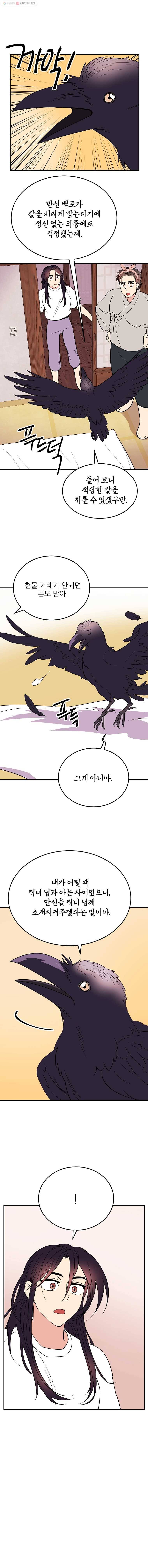 백로식당 11화 14