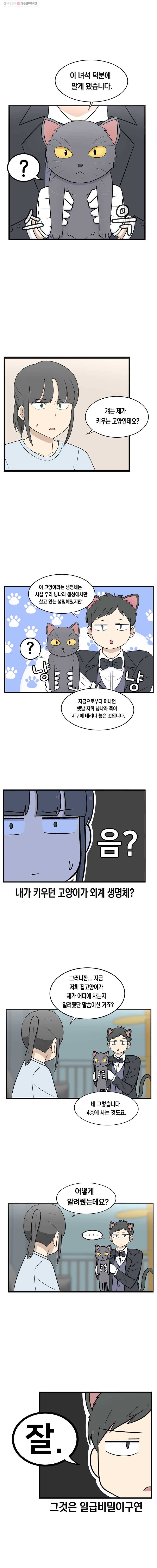 냥냐라냥냥 3.잘 부탁드립니다 3